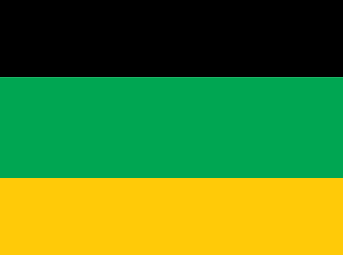 ANC colours