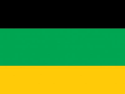 ANC colours